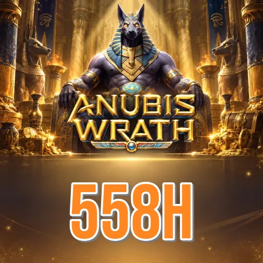 558h welcome bonus — Bangladesh cricket betting app promotion